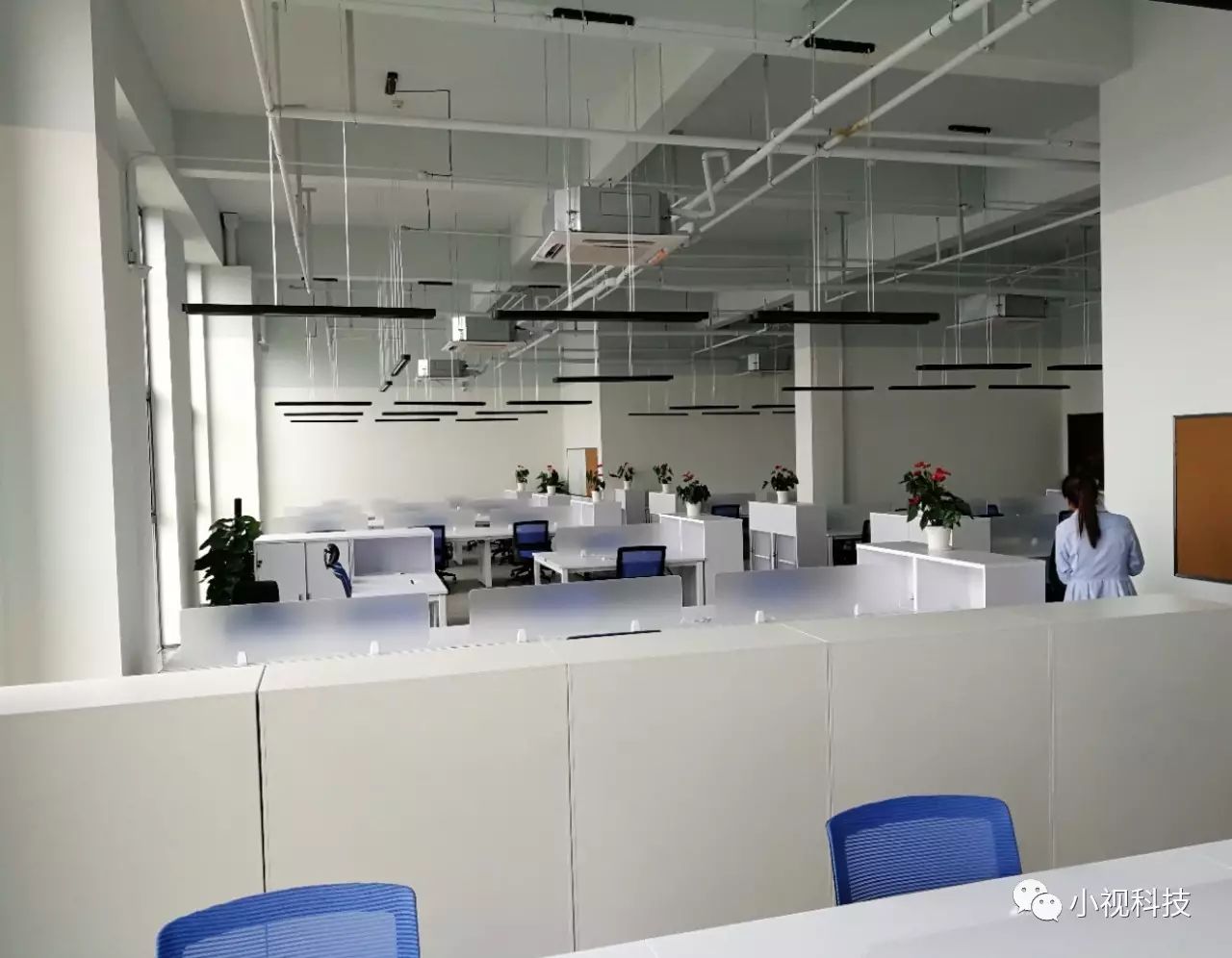 1675923330982934.jpg 1675923330982934.jpg